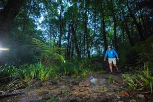 BIB: 
                            <button type="button" onclick="openModal(19241855)" class="btn btn-primary btn-sm float-right btn-popup" data-toggle="modal" data-target=".modal-high-quality">
                        <i class="fas fa-shopping-cart"></i> Add to Cart
                    </button>
                                            <button type="button" onclick="isThisMe(19241855, true)" class="btn btn-success btn-sm float-right btn-popup btn-isme hidden" data-toggle="tooltip" data-placement="bottom" title="นี่คือรูปของคุณใช่ไหม คลิกที่นี่เพื่อเอาเข้าอัลบั้ม">
                        <i class="fas fa-plus"></i> Add to album
                    </button>
                    <button type="button" onclick="isThisMe(19241855, false)" class="btn btn-warning btn-sm float-right btn-popup btn-isnotme hidden">
                        <i class="fas fa-ban"></i> Remove from album
                    </button>